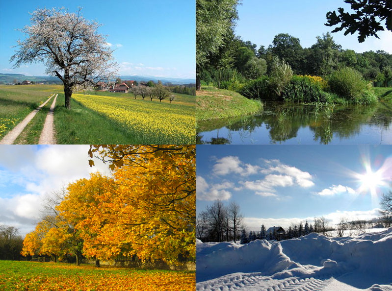File:Four seasons.jpg