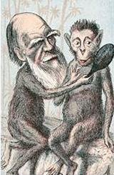 File:Caricatura de Darwin.jpg