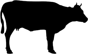 File:cow profile.png