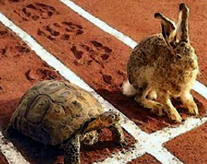 tortoise-and-hare.jpg