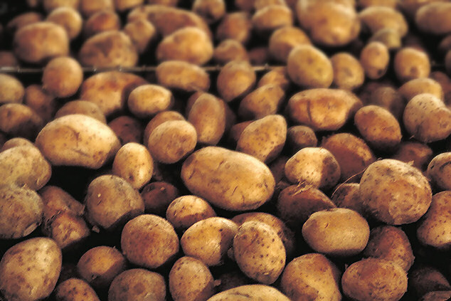 File:Potatoes.jpg