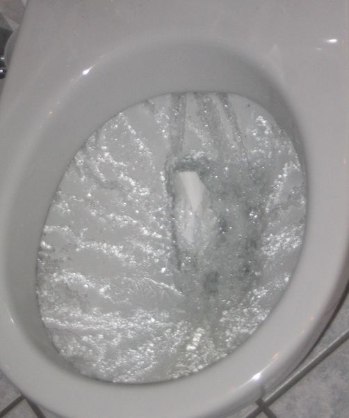 File:Flushing toilet.jpg