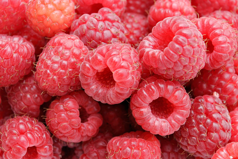 File:Raspberries05.jpg