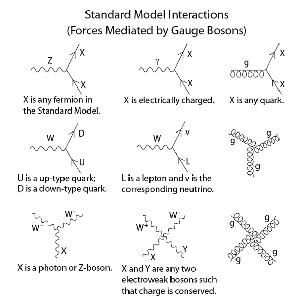 File:Standard Model Feynman Diagram Vertices.png