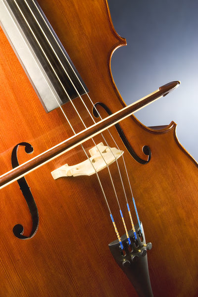 File:Cello study.jpg