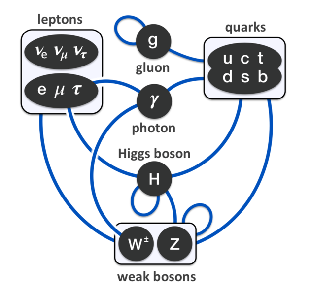 File:Elementary particle interactions in the Standard Model.png